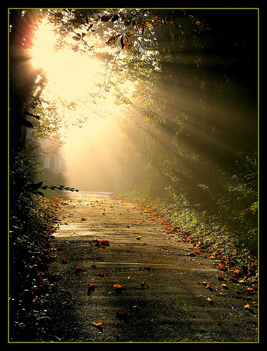 Lord thank you for your blessing that makes rich and for the joy that removes all sorrow. Lord thank you for your blessing that makes rich and for the joy that removes all sorrow.