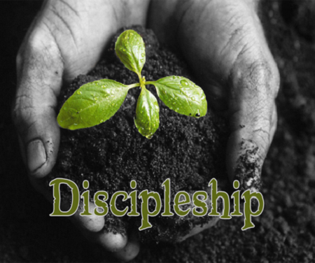 True Discipleship True Discipleship